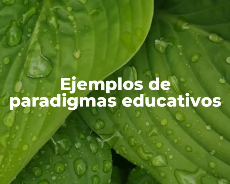 Ejemplos de paradigmas educativos
