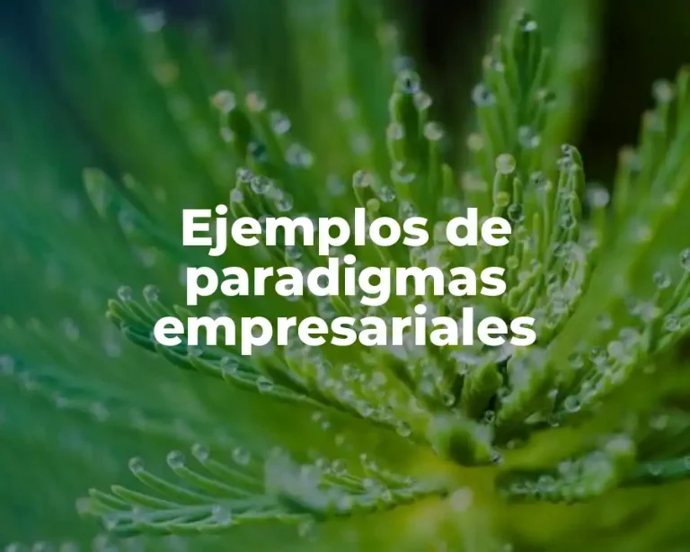 Ejemplos de paradigmas empresariales