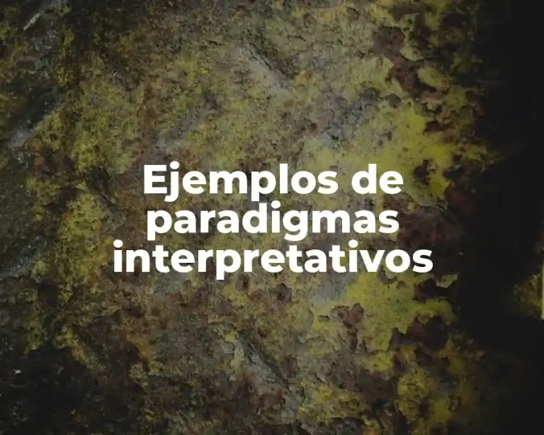 Ejemplos de paradigmas interpretativos