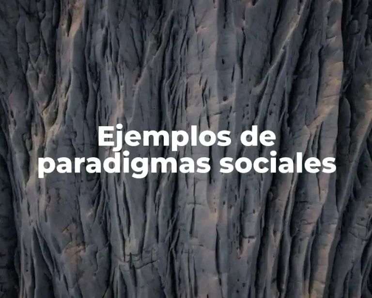 Ejemplos de paradigmas sociales