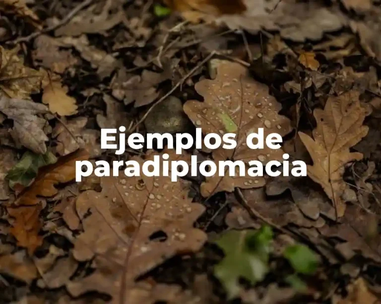 Ejemplos de paradiplomacia