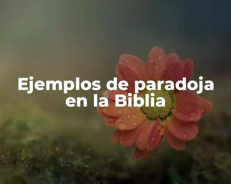 Ejemplos de paradoja en la Biblia