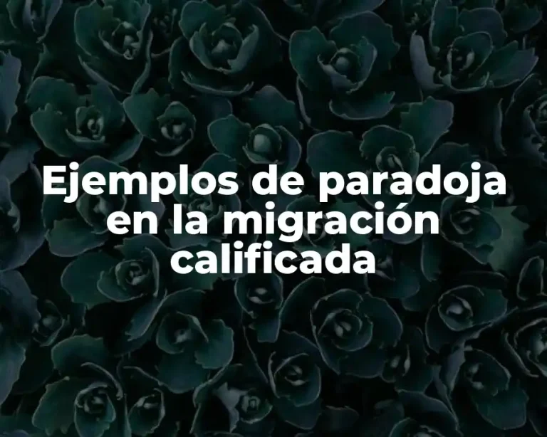 Ejemplos de paradoja en la migración calificada