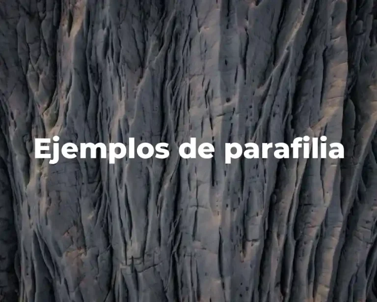 Ejemplos de parafilia