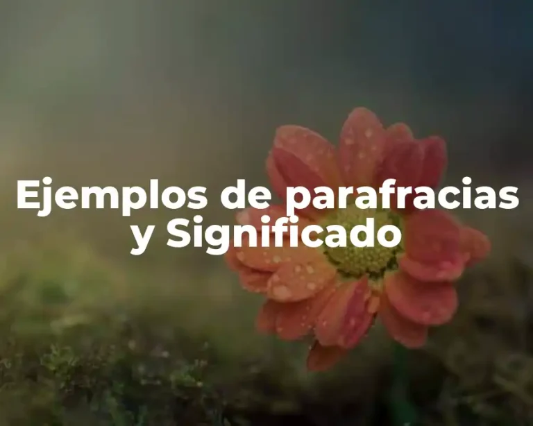 Ejemplos de parafracias y Significado