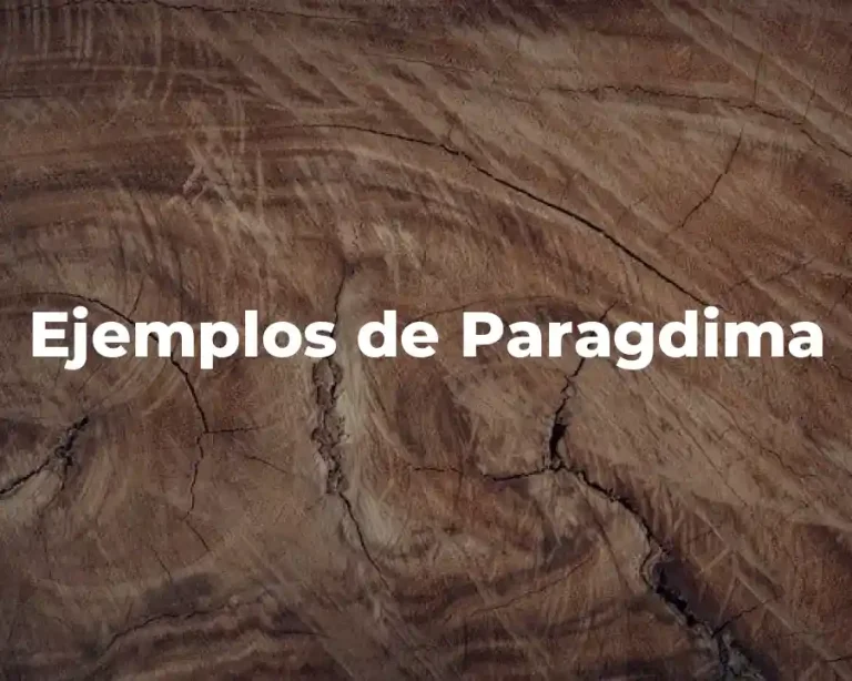 Ejemplos de Paragdima