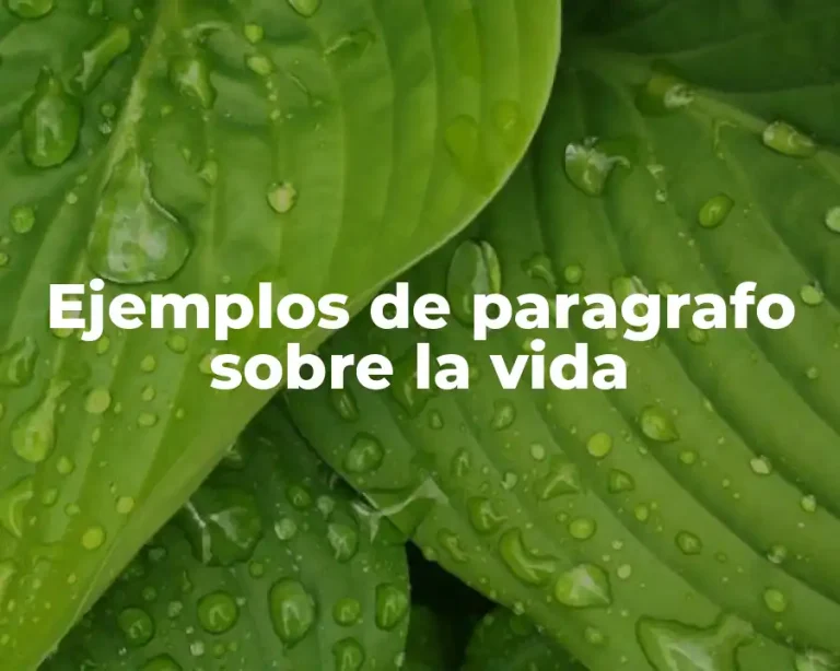Ejemplos de paragrafo sobre la vida