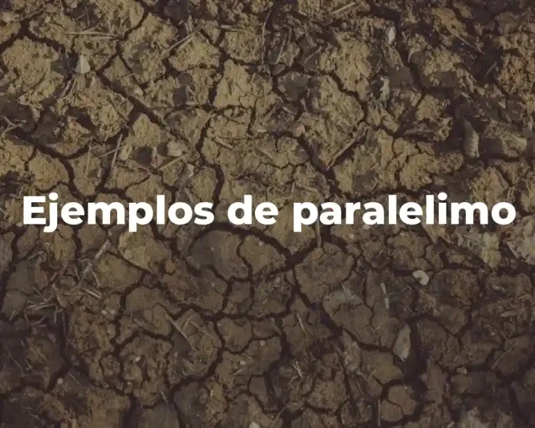 Ejemplos de paralelimo