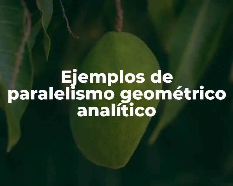 Ejemplos de paralelismo geométrico analítico