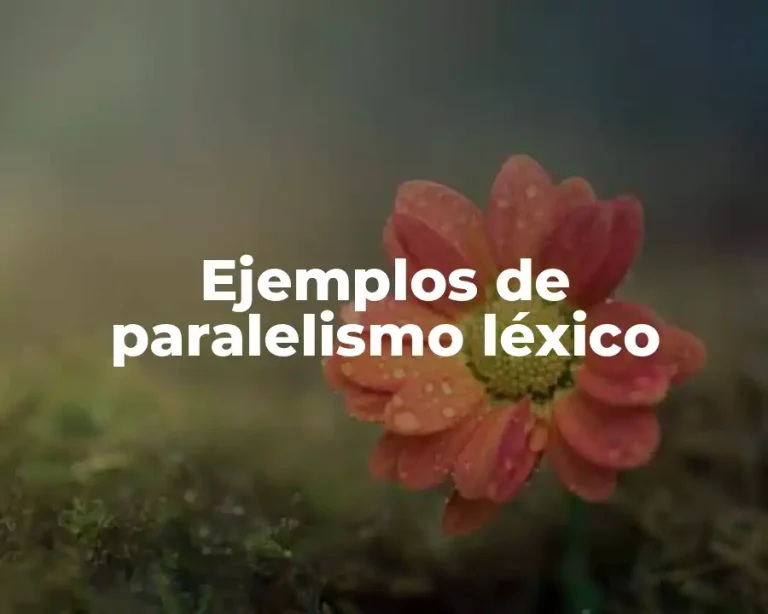 Ejemplos de paralelismo léxico