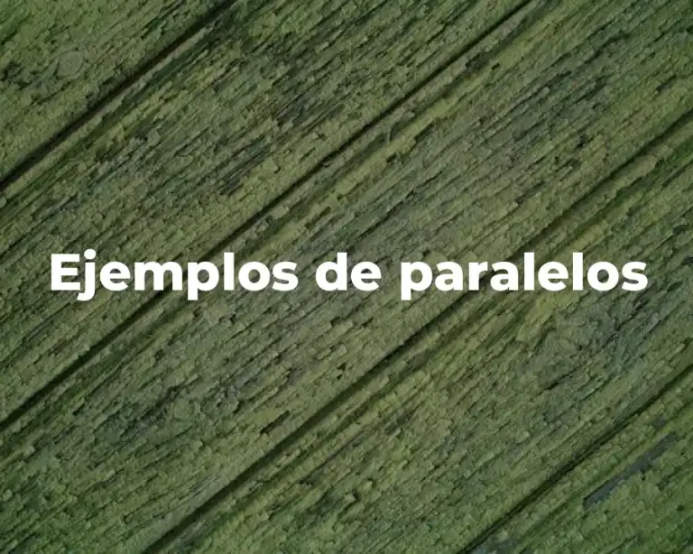 Ejemplos de paralelos