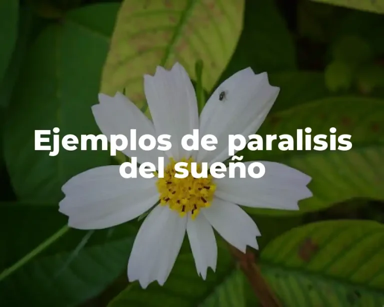 Ejemplos de paralisis del sueño