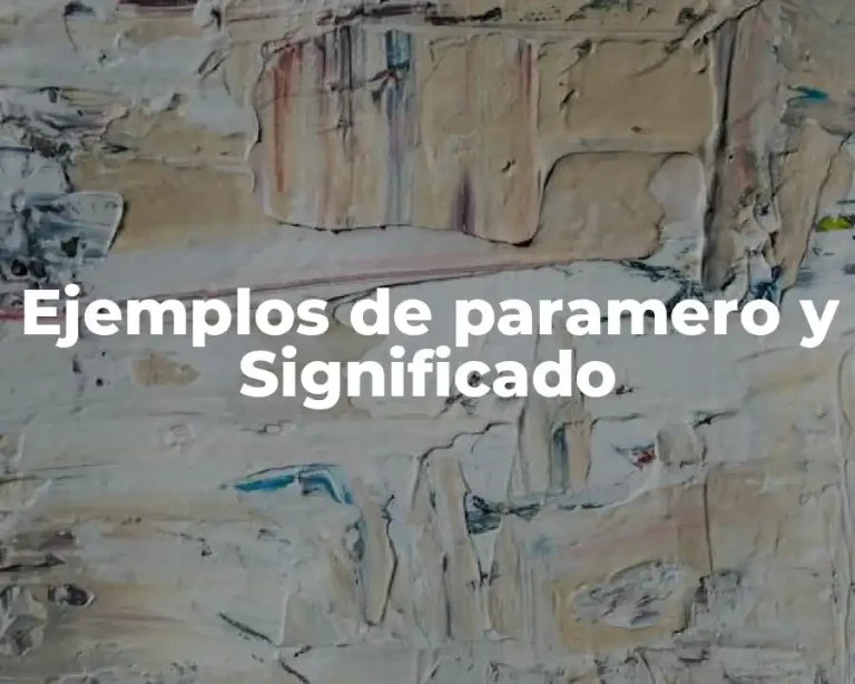 Ejemplos de paramero y Significado