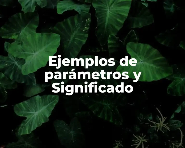 Ejemplos de parámetros y Significado