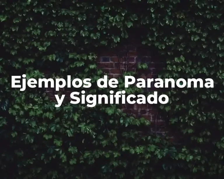Ejemplos de Paranoma y Significado