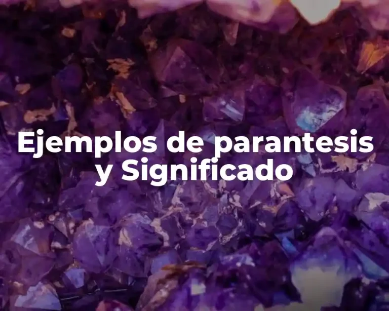 Ejemplos de parantesis y Significado