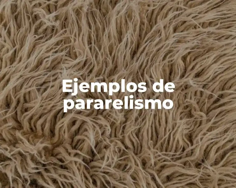 Ejemplos de pararelismo