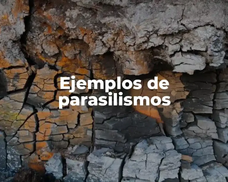 Ejemplos de parasilismos