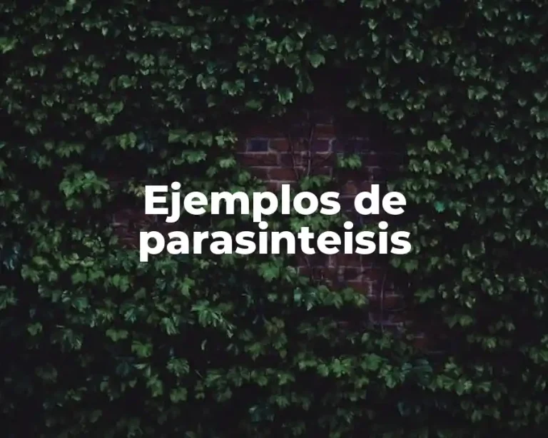 Ejemplos de parasinteisis