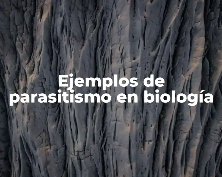 Ejemplos de parasitismo en biología
