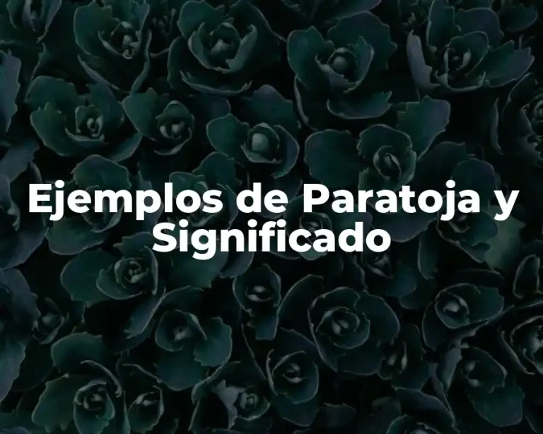 Ejemplos de Paratoja y Significado