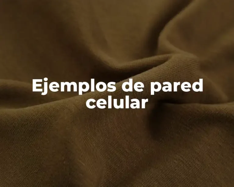 Ejemplos de pared celular