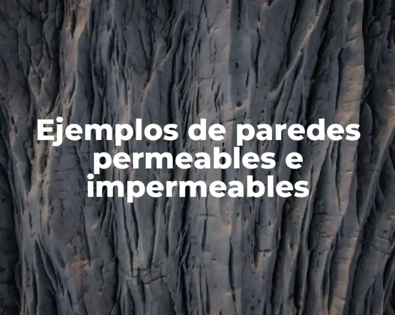 Ejemplos de paredes permeables e impermeables