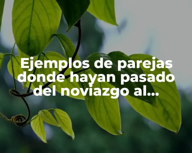 Ejemplos de parejas donde hayan pasado del noviazgo al maltrato y Significado