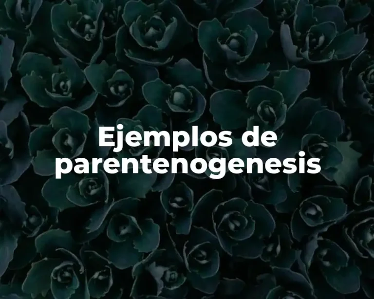 Ejemplos de parentenogenesis