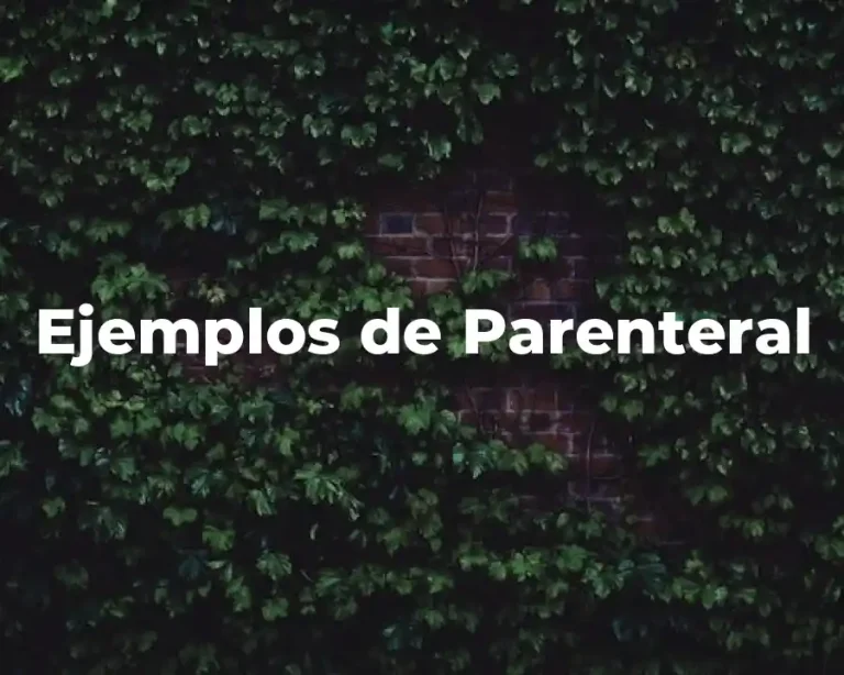 Ejemplos de Parenteral