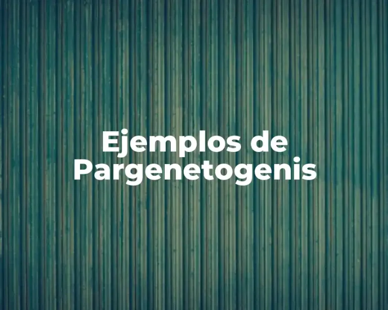 Ejemplos de Pargenetogenis