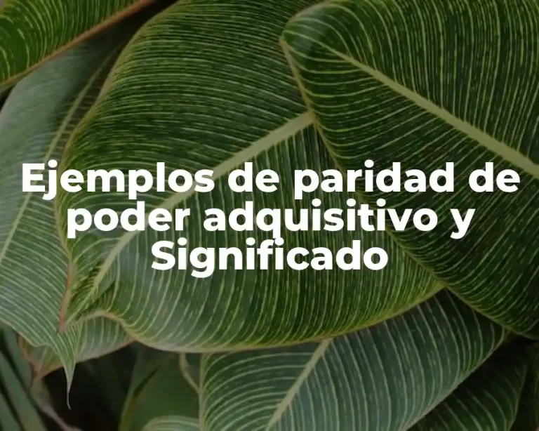 Ejemplos de paridad de poder adquisitivo y Significado