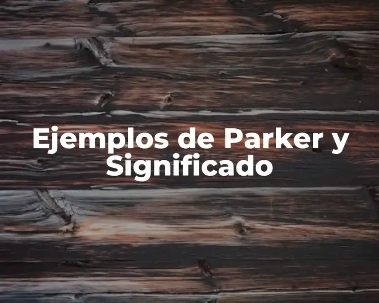 Ejemplos de Parker y Significado