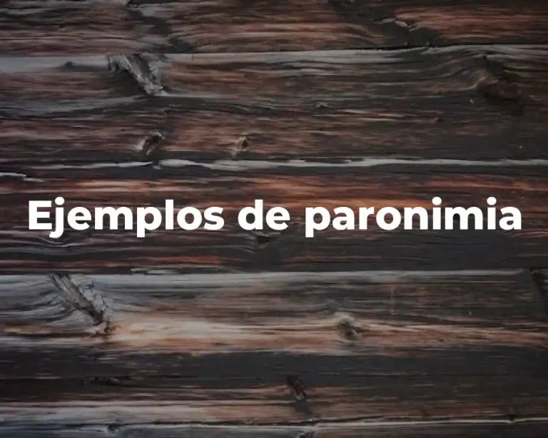 Ejemplos de paronimia