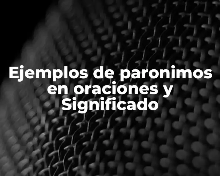 Ejemplos de paronimos en oraciones y Significado