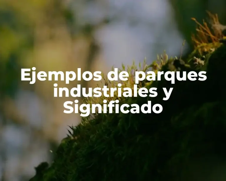 Ejemplos de parques industriales y Significado