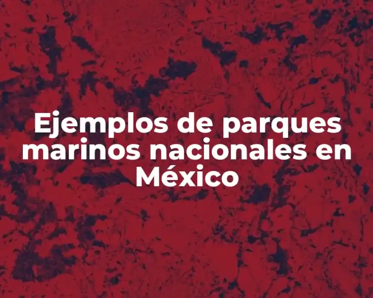 Ejemplos de parques marinos nacionales en México
