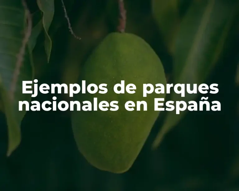 Ejemplos de parques nacionales en España