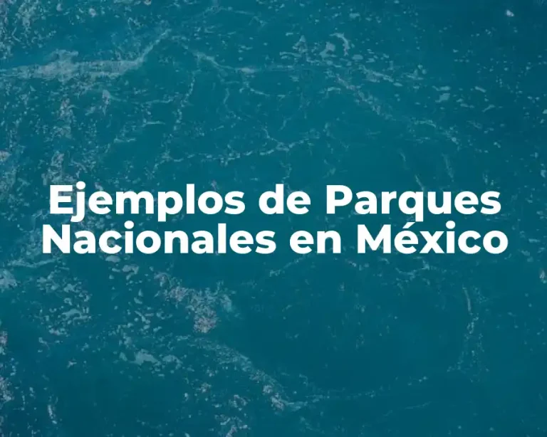 Ejemplos de Parques Nacionales en México