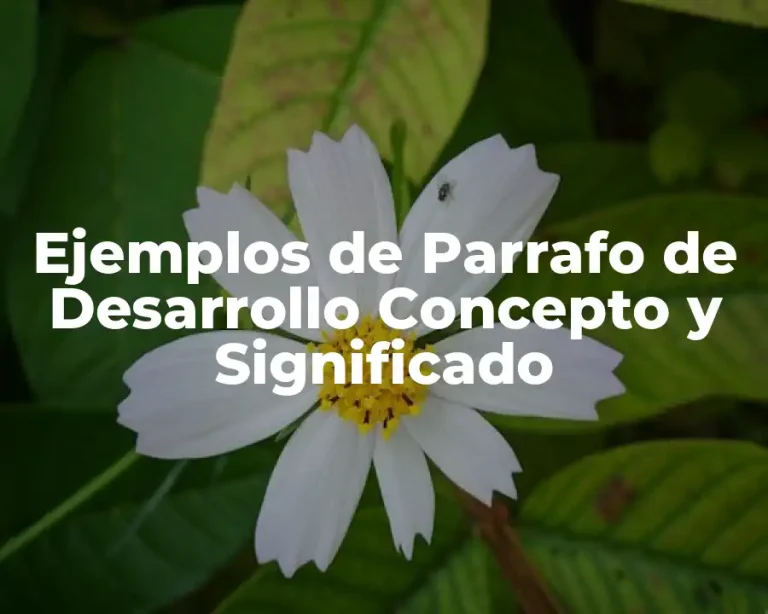 Ejemplos de Parrafo de Desarrollo Concepto y Significado
