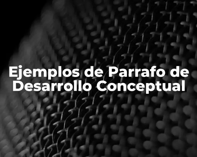 Ejemplos de Parrafo de Desarrollo Conceptual
