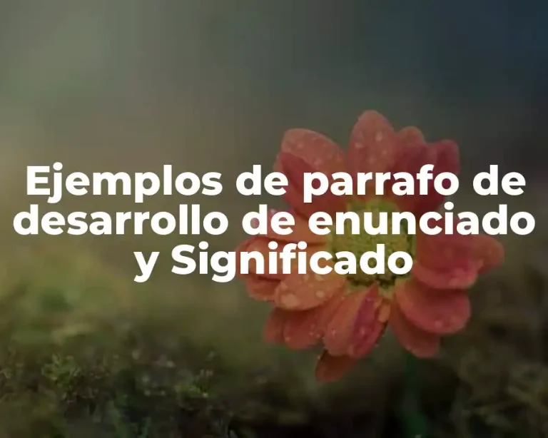 Ejemplos de parrafo de desarrollo de enunciado y Significado