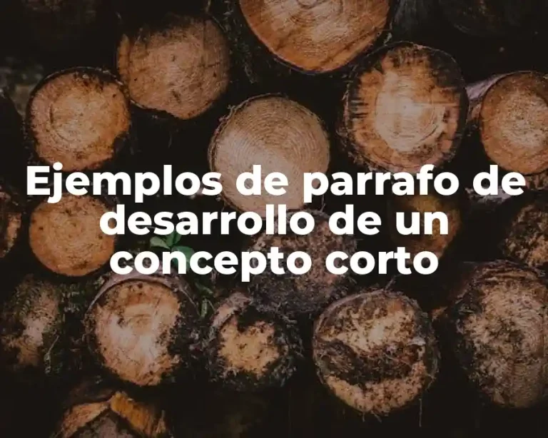 Ejemplos de parrafo de desarrollo de un concepto corto