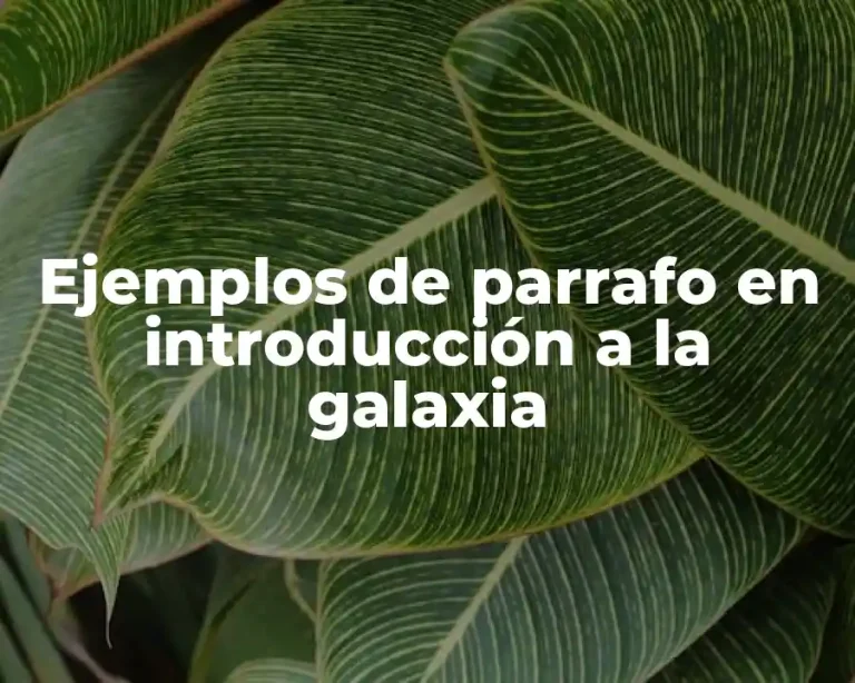 Ejemplos de parrafo en introducción a la galaxia