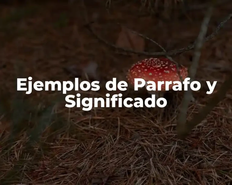Ejemplos de Parrafo y Significado