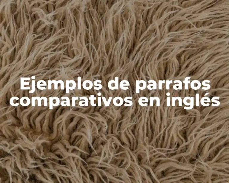 Ejemplos de parrafos comparativos en inglés