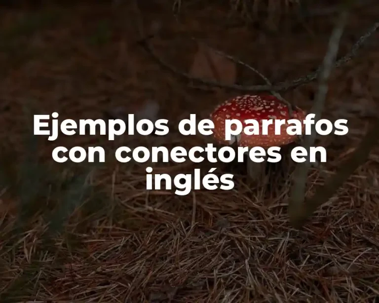 Ejemplos de parrafos con conectores en inglés