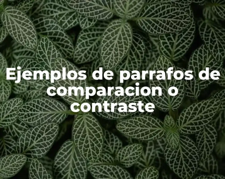 Ejemplos de parrafos de comparacion o contraste