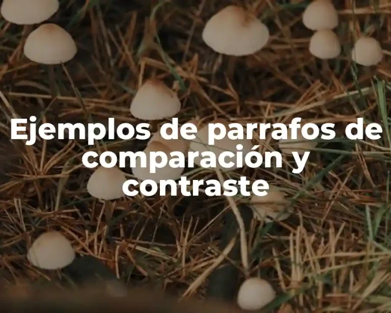 Ejemplos de parrafos de comparación y contraste