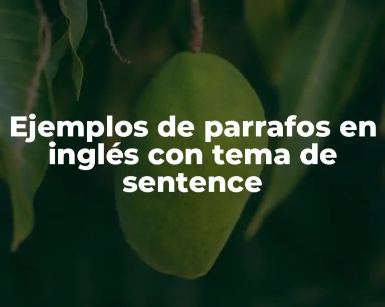 Ejemplos de parrafos en inglés con tema de sentence